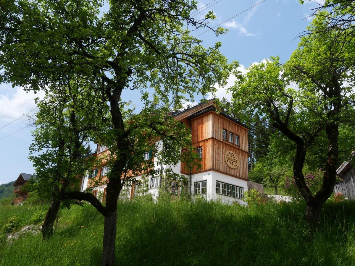 Ecologie Grundlsee Luaran gambar